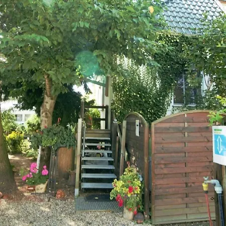 Paradies By Interhome Lägenhet