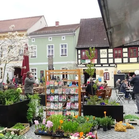 Paradies By Interhome Apartment *