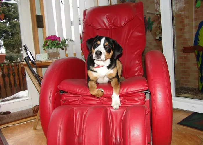 Apartment Paradies By Interhome