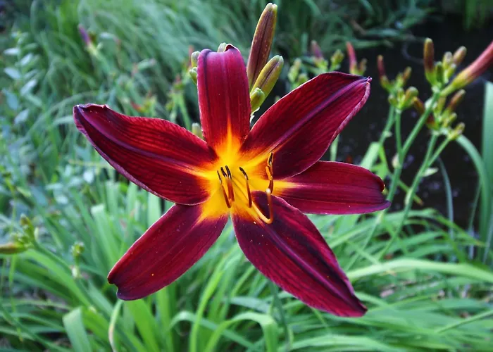 Paradies By Interhome